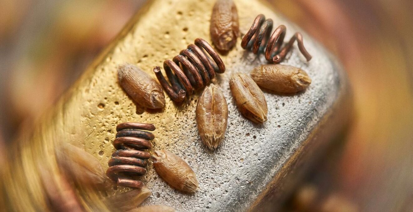 Extreme close-up of gold and silver surfaces with commodity grains showing texture and material diversity